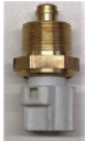 AI-2021 Thermostat (Ford Figo /Fiesta – Petrol ) 2P	
